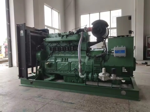 Factory 125KVA Natural Gas Generator Set 100KW Gas Power Generation Equipment with Automatic Control System for Farm & Factory