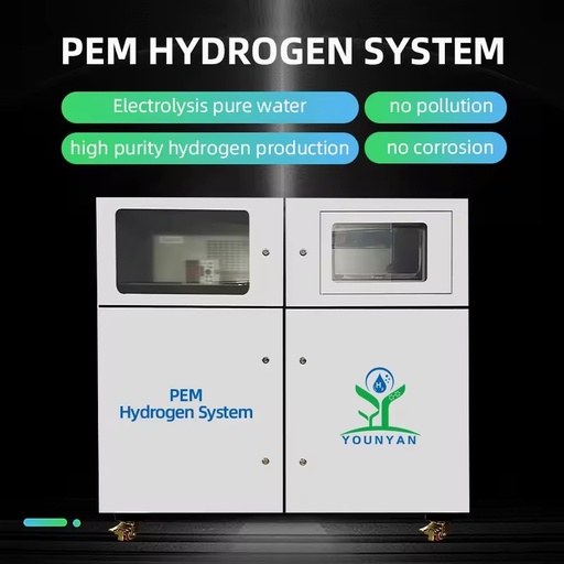 PEM Hydrogen Production Equipment High Productivity 5-50Nm³/H Capacity Hydrogen Gas Generator for Stove Cooking