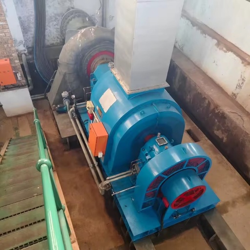 50kW Stainless Steel Water Turbine for Hydroelectric Power Generation