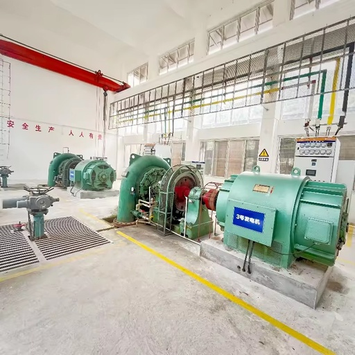 Full Set Equipment Water Hydroelectric Power Plant Francis vortex Hydro Turbine Generator