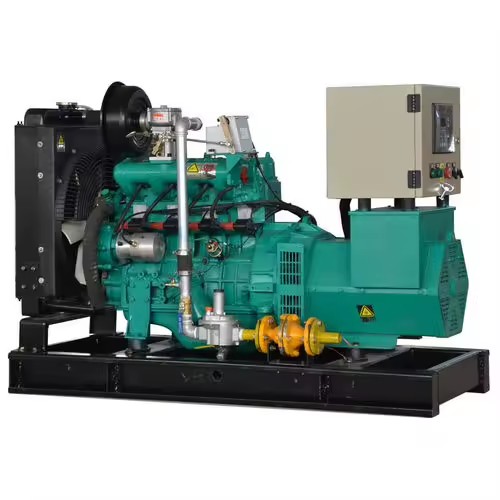 Biomass Electricity Syngas Generator 30kw 50kw to 2500 Kva Biogas Genset Natural Gas Power Turbine Generator Set for Sale