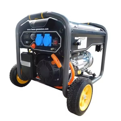 Feeser Air-Cooled Liquid Gas LPG Power Generator P-HY3-OM/LPG Recoil Start AC Single Phase 50Hz 220cm Displacement Synchronous