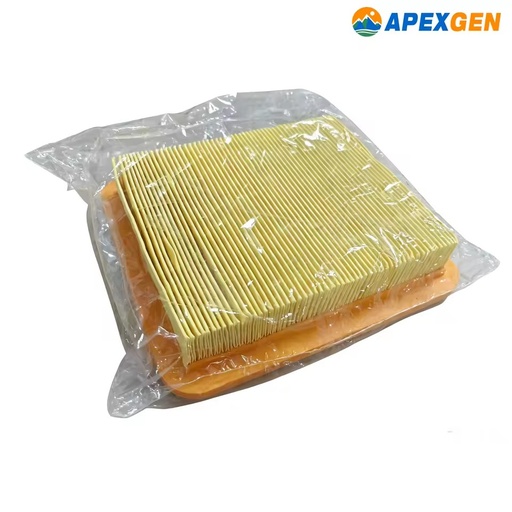 Air Filter Element, Replacement Filter for Single Cylinder Gas Generator Engine