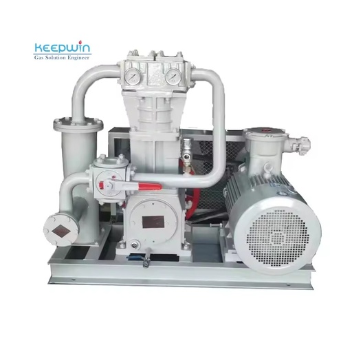 16bar 24bar 10bar Biogas Compressor LPG Compresors Piston Type Lubricated Motor Biogas Filling Machine LNG LPG Liquid Petrole