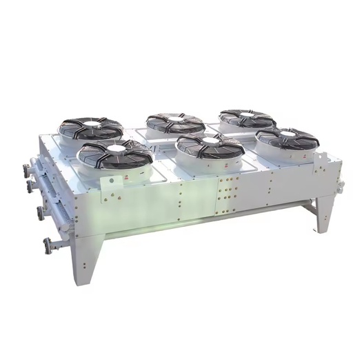 FAST Brand Wartsila Gas Solutions for TCG 3016 Copper Drycooler Radiator Natural Gas Engine Generator Machinery Parts