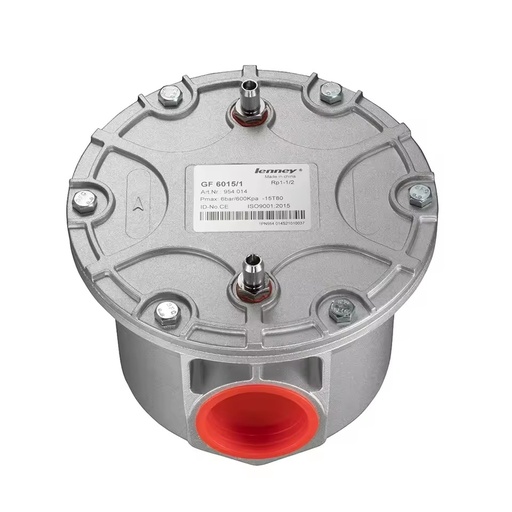 High Quality Lenney Series Pneumatic Parts Gas Air Filter Models GF6007 GF60010 GF6012 GF6015 GF6020 for Gas Applications