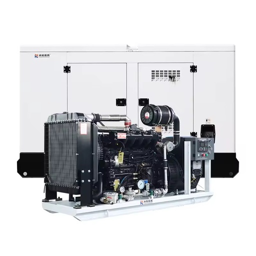 Bio Gas Engine Generation Equipment Lpg Natural Gas Turbine Generators Set 62.5 Kva 50 kW Natural Gas Generator Set for Home
