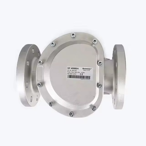 DN80 lpg Gas Air Filter for Gas burner for Gas Line