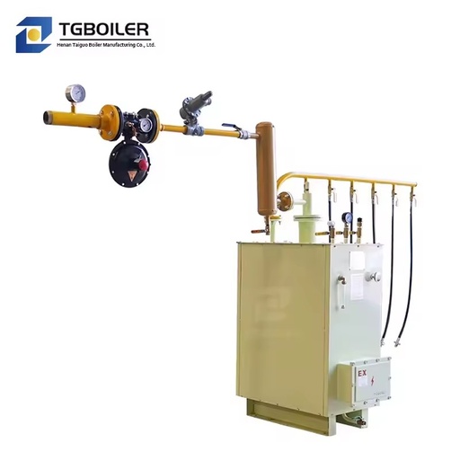 High Quality Explosion Proof 100kg/h Gasifier Floor Standing Liquid Gas Vaporizer Boiler Parts Stainless Steel CE Certified 380V