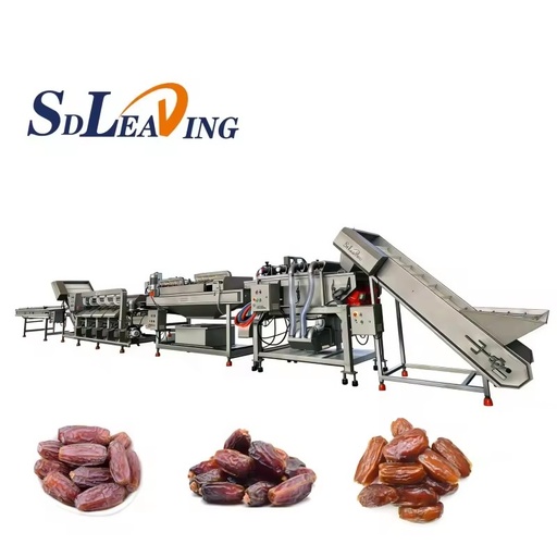 Fruit Processing Machine Vipration Line for Dates Vibrator Dates Cleaning Machine
