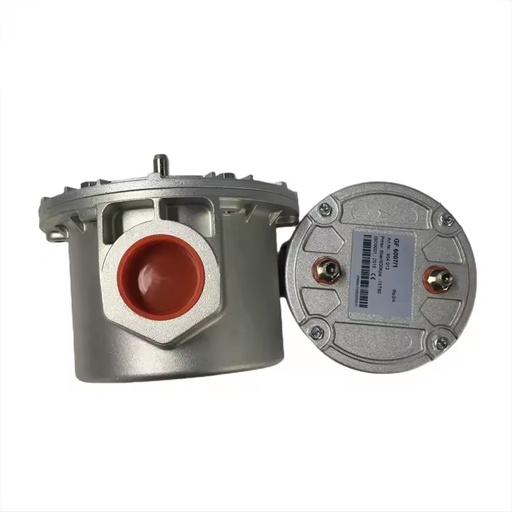 High Precision LPG & Natural Gas Filter New Condition Burner Accessories with Special Filtration for Boiler Parts