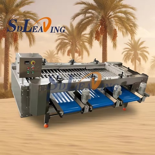 Industrial Automatic Palm Dates Processing Machine Dates Washing Machine and Weight Size Grading Sorting Machine for Medjool