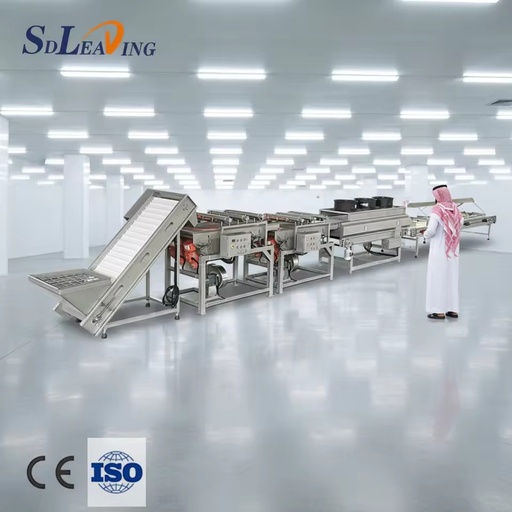 Automatic Industrial Palm Dates Processing Machine High Capacity Dates Washing Pitting Grading Drying Line for Dates Factory