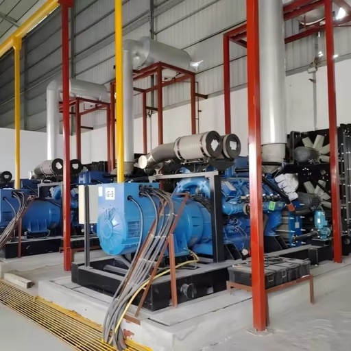 Heavy Duty 800kW Biogas Generator Set Below Altitude 1500m Matching 1000kVA Generator Screen Control Panel for Livestock Farm