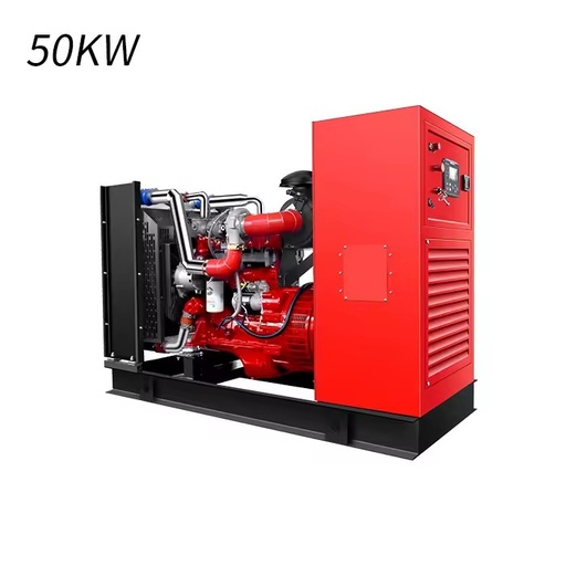 50kw CNG Bio Methane Propane LPG Gas Engine Natural Gas Electric Gas Generation Equipment Generator Set