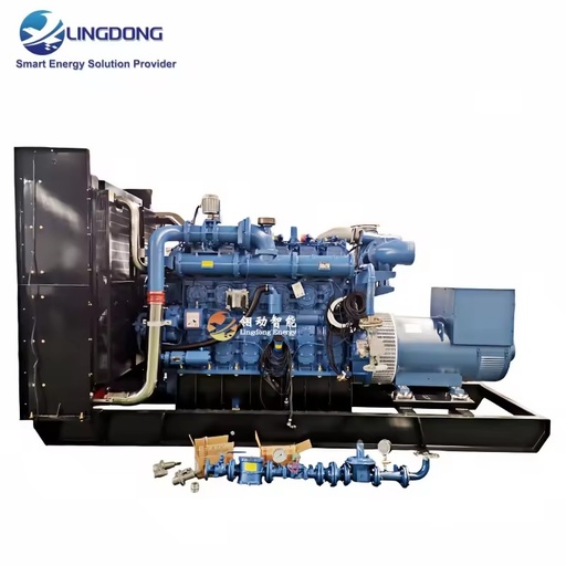 CCHP 400kW Biogas Containerised Generators Set Silent Power 500kVA Brushless Alternator Yuchai YC6C750N-D30 for Food Factory