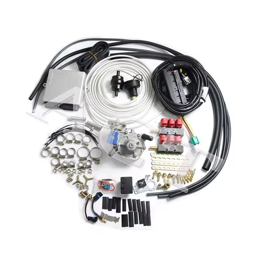 ACT LPG 6 Cyl Completed Kits Sequential Injection System Parts Petrol Engine Cylinder Autogas System