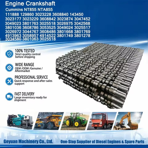 Construction Machinery 4913963 3058957 4914522 3801749 3801278 Engine Camshaft For NT855 NTA855