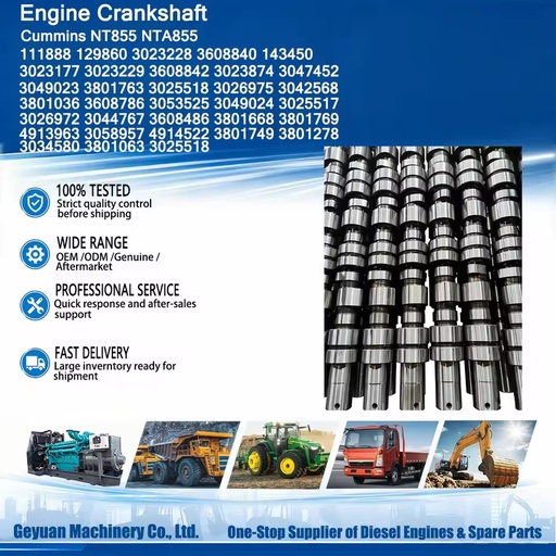 Construction Machinery 3049023 3801763 3025518 3026975 3042568 Engine Camshaft For NT855 NTA855