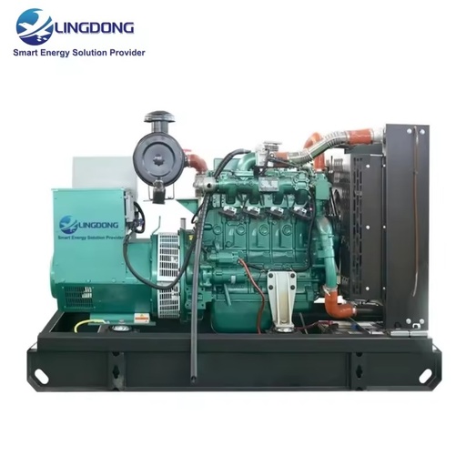 Factory Supply 62.5kVA Biogas Generator Set Price 50kW Genset Yuchai YC4D90N-D30 Engine Open Type Biogas Generator for Home Use
