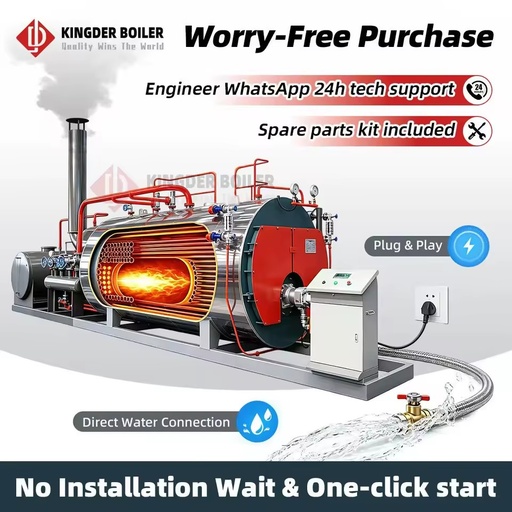 WNS Dual Fuel Steam Boiler Natural Gas Diesel Fired CE ASME Certified Packaged Design