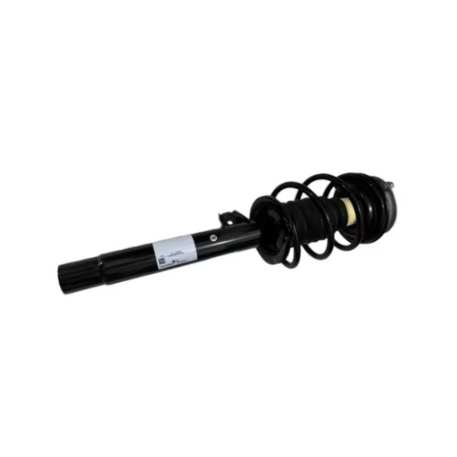 Auto Spare Suspension Coilovers Shock Absorbers Set for BMW E39 F20 E38 F80 M3 for Bmw 1 Series 320I M5 F90 523I