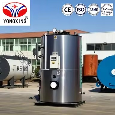 LSS Series Small Vertical Steam Generator Low Pressure Exempt Inspection Industrial Boiler