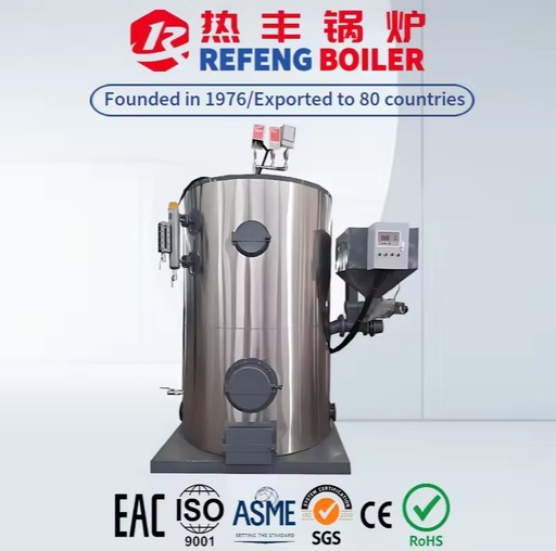 LSG Biomass Steam Generator Dual Purpose Boiler for Hotel School Heating & Hot Water Supply