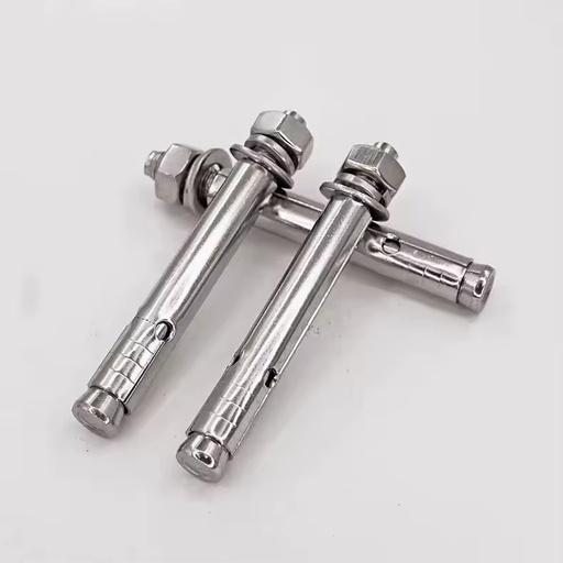DIN Standard SUS304/316 Stainless Steel Sleeve Expansion Anchor Bolts, A2/A4 Hex Nuts, Flat & Spring Washers Fasteners