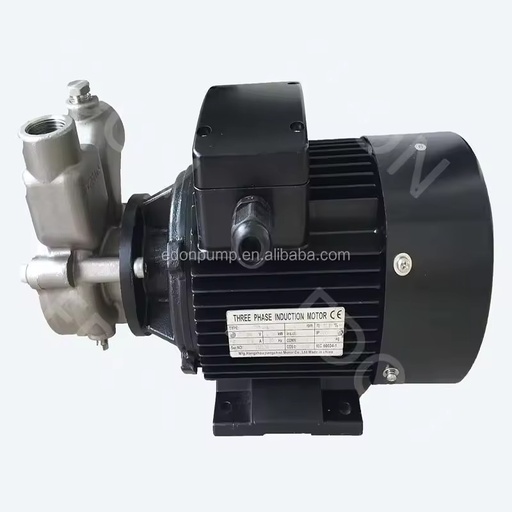 380V 0.55KW-1KW Ozone Nano Micro Bubble Generator Aerator Hydroponics Water Treatment Pump 1-Year Warranty Oxygen Mixing Pump