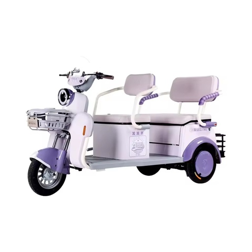 electric tricycle for adults electric tricycles for passengers