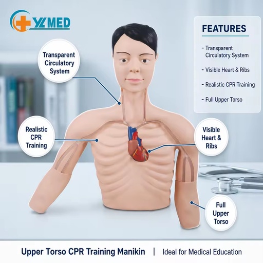 PICC Intervention Simulator Peripheral Venous Central Catheter Mannequin Education Training Aid CE/ISO