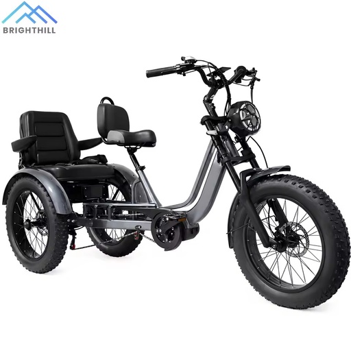 Factory Direct OEM ODM 20inch Fat Tire Electric Tricycle 500W Mid Drive 48V Lithium Battery For Two Person