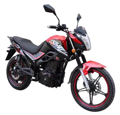 Manufacturer High Speed Gasoline Disc Brake Central Electric Bike Motor Electric Motorcycle