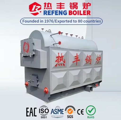 Biomass Fired Boiler DZH 1 Ton High Efficiency Manual Solid Fuel Heating Machine for Textile Industry Food Factory Site