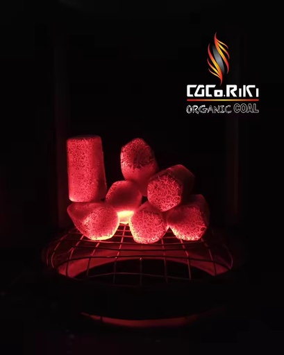 Coco Riki Coconut Shell Briquettes Machine-Made BBQ Black Charcoal 7000-8000 Kcal/Kg