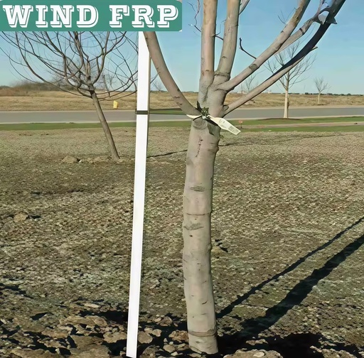 FRP Heavy-Duty Tree Support
