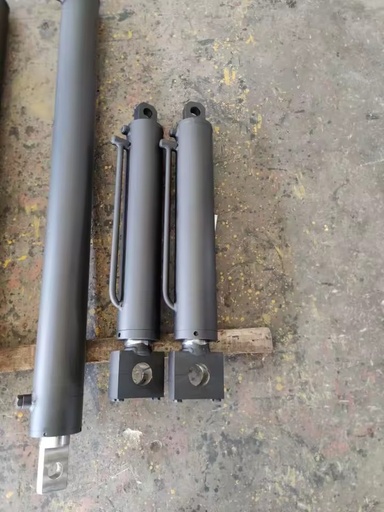 Durable Industrial Machinery Drilling Rig Hydraulic Steel Piston Cylinder Heavy Duty Fluid Power Assembly Standard Structure