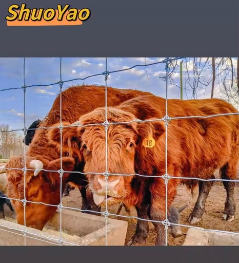 Bull Fence Net Fence Hot Dipped Galvanized Cattle Feeder & Head Lock - Easy Install for Farm Cow/Sheep/Goat