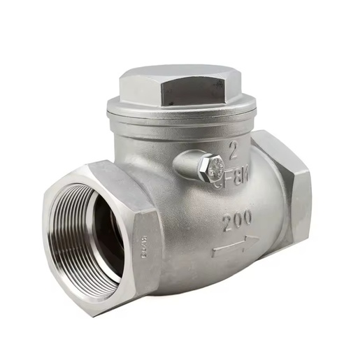 CF8 316 BSP NPT Thread End Wenzhou Industrial Chek Valve Stainless Steel Swing Check Valve