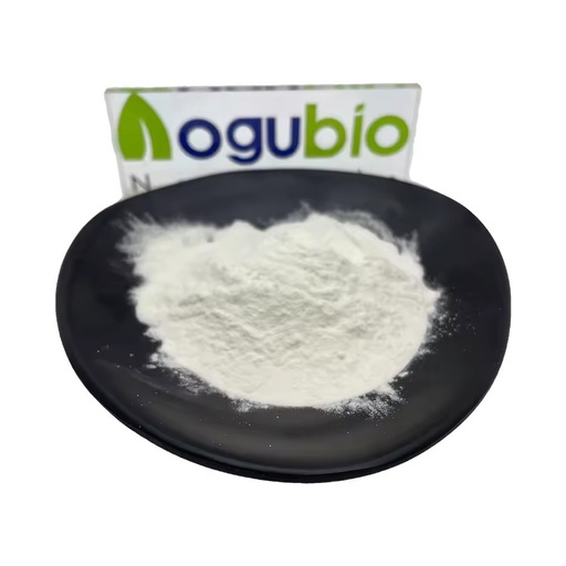 Premium Magnesium Amino Acid Chelate Powder High Absorption Mineral Supplement for Health & Wellness Support