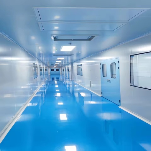 Turnkey GMP Cleanroom System for Food Processing Factory Purification Workshop