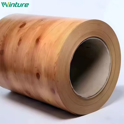 Best Quality Ppgi Coil Color Coated Galvanized Steel Coil For Construction Project Distributor