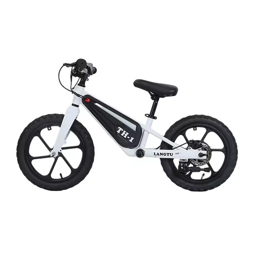 2025 New Product Kids Balance Bike 16 Inch Scooter Bike 250W Lithium Battery Brake Line Magnesium Alloy Frame Single Speed