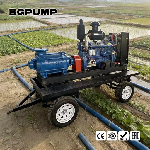 10 15 20 25 30 35 40 45 50 HP