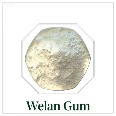 Natural Welan Gum Polysaccharide Stabilizer for Waterproof Mortar and Petroleum Drilling