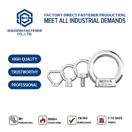 Petroleum Chemical Plant Seawater Desalination Port Ship 316 Stainless Steel DIN582 Lifting Eye Nut Corrosion Resistant Fastener