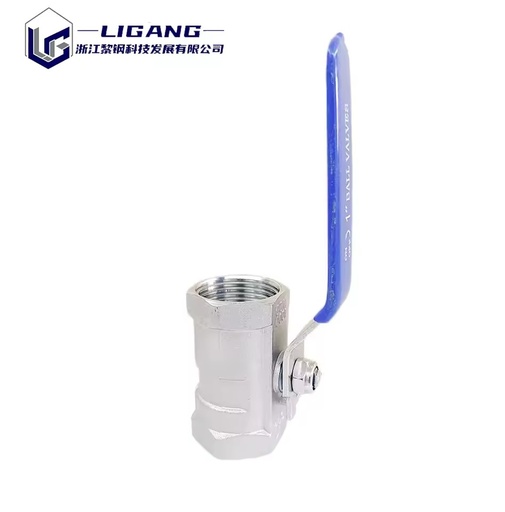 High Performance Long Lever Handle Double Female SS316 Material Heavy Duty Petroleum Chemical Processing 1pc Ball Valves