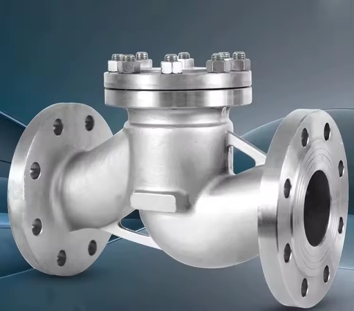 Industrial Stainless Steel SS304 Flanged Lift PN16 Non Return Check Valve for Natural Gas Oil Water Steam Pipeline