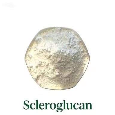 Sclerotium Gum Scleroglucan CAS 39464-87-4 Building Material Thickener & Stabilizer for Cement Mortar